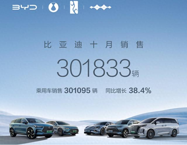 新能源車10月銷量：自主狂奔，多家新勢力創(chuàng)新高